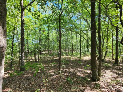 Kiamichi Mountain Homestead Property - image 21