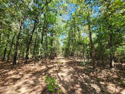 Kiamichi Mountain Homestead Property - image 10