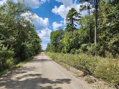 Kiamichi Mountain Homestead Property - image 13