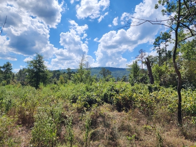 Kiamichi Mountain Homestead Property - image 6