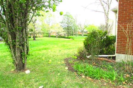 Nix's Estate Live Auction in Columbia Tennessee - image 8