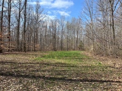 2 Bedroom Cabin Style Home On 34.5+/- Acres With Timber - image 26