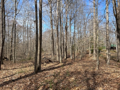 2 Bedroom Cabin Style Home On 34.5+/- Acres With Timber - image 25