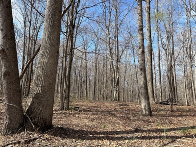 2 Bedroom Cabin Style Home On 34.5+/- Acres With Timber - image 24
