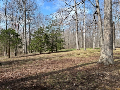 2 Bedroom Cabin Style Home On 34.5+/- Acres With Timber - image 18