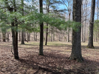 2 Bedroom Cabin Style Home On 34.5+/- Acres With Timber - image 19