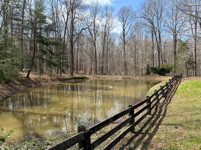 2 Bedroom Cabin Style Home On 34.5+/- Acres With Timber - image 22