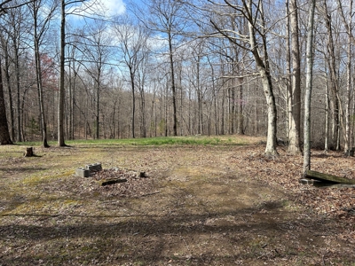 2 Bedroom Cabin Style Home On 34.5+/- Acres With Timber - image 17