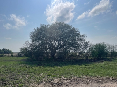 Hunting, Future Homesite Property for Sale in Papalote, TX - image 36