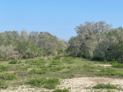Hunting, Future Homesite Property for Sale in Papalote, TX - image 24