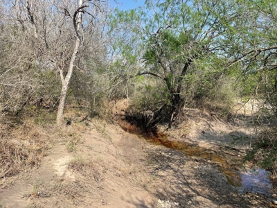 Hunting, Future Homesite Property for Sale in Papalote, TX - image 32