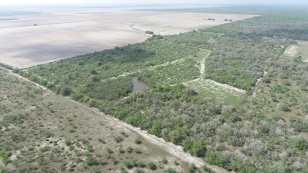 Hunting, Future Homesite Property for Sale in Papalote, TX - image 39