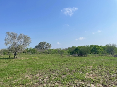 Hunting, Future Homesite Property for Sale in Papalote, TX - image 17