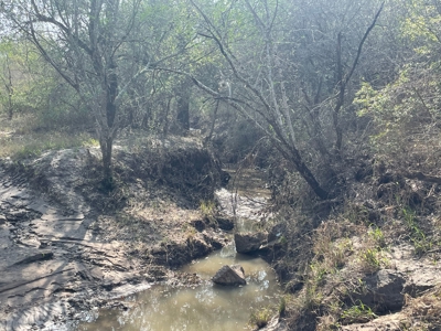 Hunting, Future Homesite Property for Sale in Papalote, TX - image 29