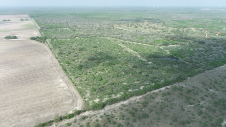 Hunting, Future Homesite Property for Sale in Papalote, TX - image 40