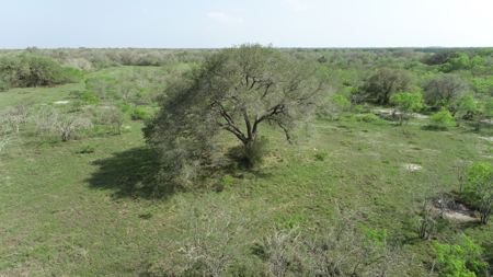 Hunting, Future Homesite Property for Sale in Papalote, TX - image 6