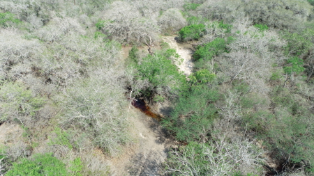 Hunting, Future Homesite Property for Sale in Papalote, TX - image 13