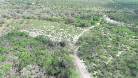 Hunting, Future Homesite Property for Sale in Papalote, TX - image 8