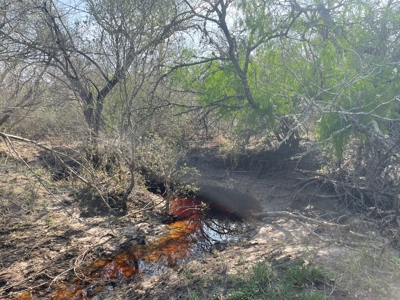Hunting, Future Homesite Property for Sale in Papalote, TX - image 33