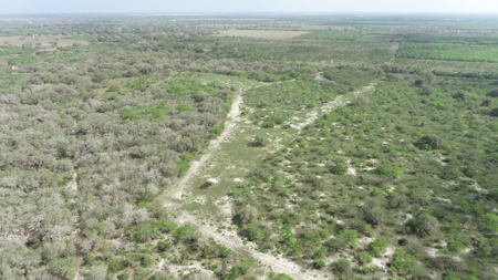 Hunting, Future Homesite Property for Sale in Papalote, TX - image 7