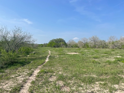 Hunting, Future Homesite Property for Sale in Papalote, TX - image 23