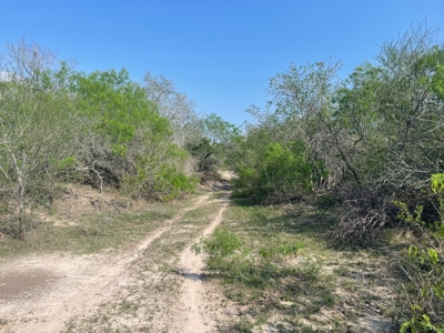 Hunting, Future Homesite Property for Sale in Papalote, TX - image 26