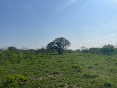 Hunting, Future Homesite Property for Sale in Papalote, TX - image 19