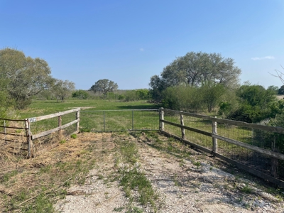 Hunting, Future Homesite Property for Sale in Papalote, TX - image 16
