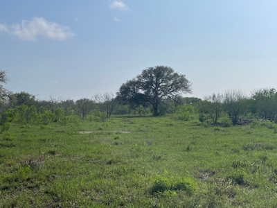 Hunting, Future Homesite Property for Sale in Papalote, TX - image 35