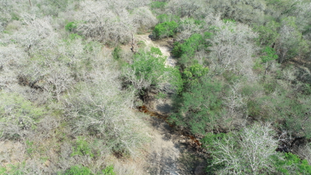 Hunting, Future Homesite Property for Sale in Papalote, TX - image 12