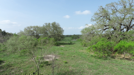 Hunting, Future Homesite Property for Sale in Papalote, TX - image 14