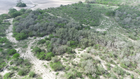 Hunting, Future Homesite Property for Sale in Papalote, TX - image 10