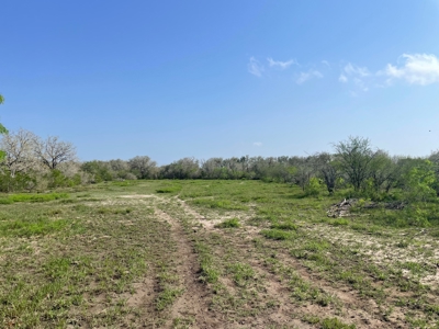 Hunting, Future Homesite Property for Sale in Papalote, TX - image 25