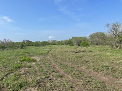 Hunting, Future Homesite Property for Sale in Papalote, TX - image 30
