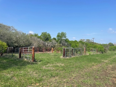 Hunting, Future Homesite Property for Sale in Papalote, TX - image 22