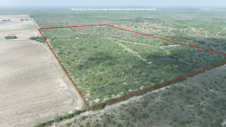 Hunting, Future Homesite Property for Sale in Papalote, TX - image 4
