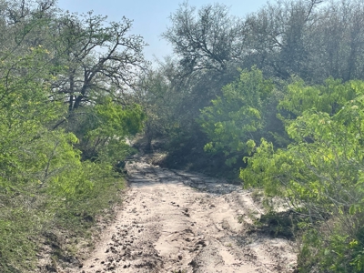 Hunting, Future Homesite Property for Sale in Papalote, TX - image 27