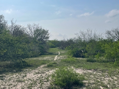 Hunting, Future Homesite Property for Sale in Papalote, TX - image 31