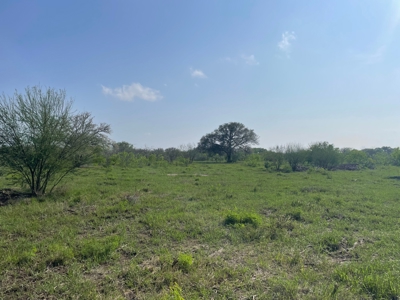 Hunting, Future Homesite Property for Sale in Papalote, TX - image 34
