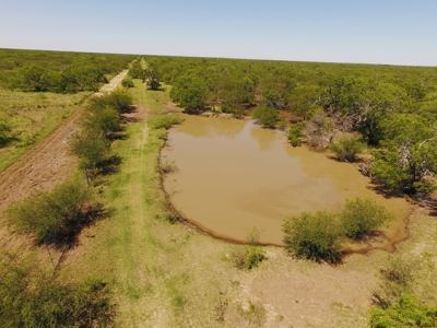 +/- 873 Acres near Kingsville, TX that borders The King Ranch - image 7