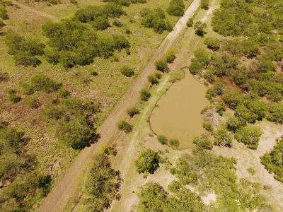+/- 873 Acres near Kingsville, TX that borders The King Ranch - image 15