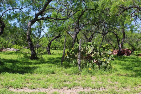+/- 873 Acres near Kingsville, TX that borders The King Ranch - image 24
