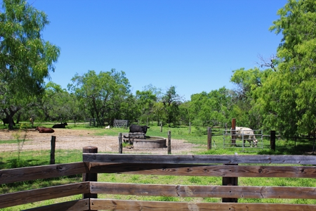+/- 873 Acres near Kingsville, TX that borders The King Ranch - image 8