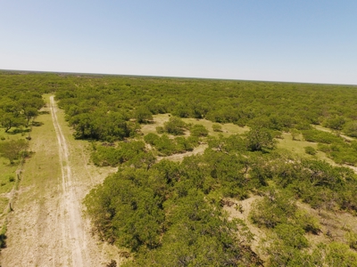+/- 873 Acres near Kingsville, TX that borders The King Ranch - image 4