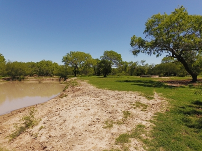 +/- 873 Acres near Kingsville, TX that borders The King Ranch - image 16