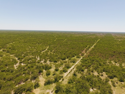 +/- 873 Acres near Kingsville, TX that borders The King Ranch - image 13