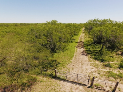 +/- 873 Acres near Kingsville, TX that borders The King Ranch - image 2