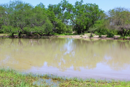 +/- 873 Acres near Kingsville, TX that borders The King Ranch - image 22