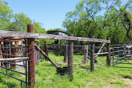 +/- 873 Acres near Kingsville, TX that borders The King Ranch - image 19