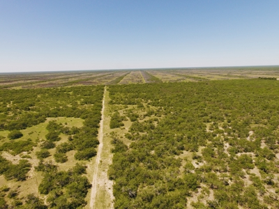 +/- 873 Acres near Kingsville, TX that borders The King Ranch - image 11